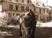 Fotografia Iwona Czeszejko