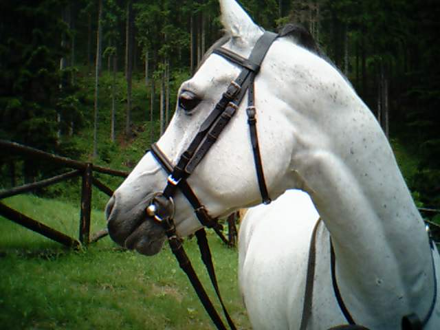 Fotografia karolina pajestka