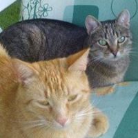Fotografia Jus Mi