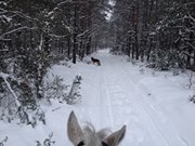 Fotografia Stajnia Masta