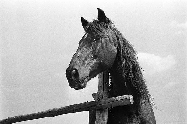 Fotografia Krzysiek Szymański