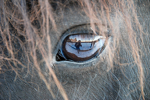 Fotografia Zuzanna 