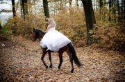 Fotografia WIOLETTA KARPIŃSKA