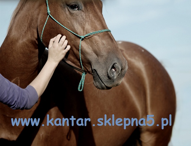 Fotografia Ewa Narejko