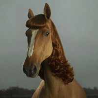 Fotografia Fama Nadzwyczajna