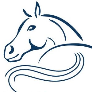 Sklep Jeździecki Konik - blog