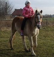 Fotografia Olena Parzątka