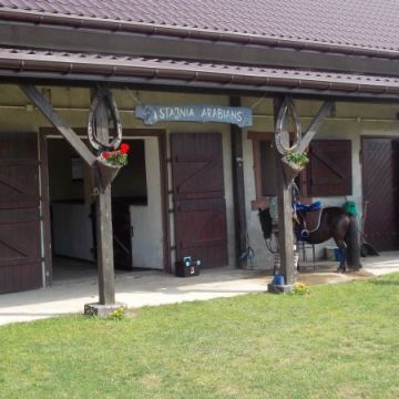 Fotografia Stajnia Arabians 