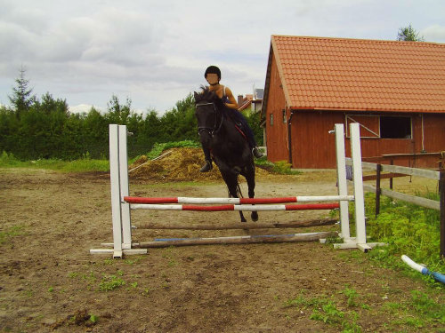 Fotografia Maja Zbytniewska