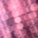 Fotografia Bufcdgn Żabdyhvcog 