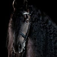 Fotografia Weronika Kobylkiewicz