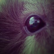 Fotografia Paulina Szumik