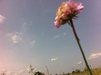 Fotografia Urszula Murasiewicz
