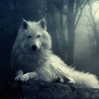 Fotografia Wiktor Nowak
