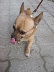 Fotografia Patrycja Niezgoda