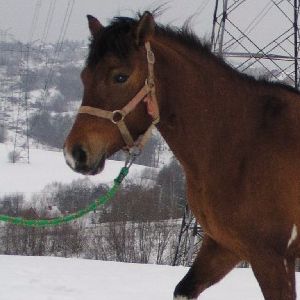 Fotografia Olga Tyrańska