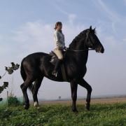 Fotografia Katarzyna Jaśnikowska