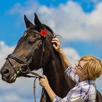 Fotografia Katarzyna Komsta