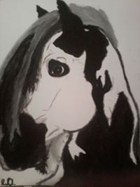 Fotografia Weronika Olenkiewicz