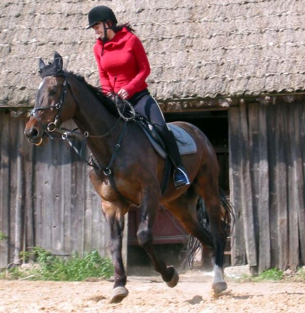 Fotografia Bożena Banachowska Szupień