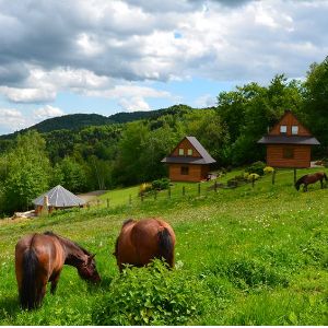 Fotografia Zbyszek Hojda 