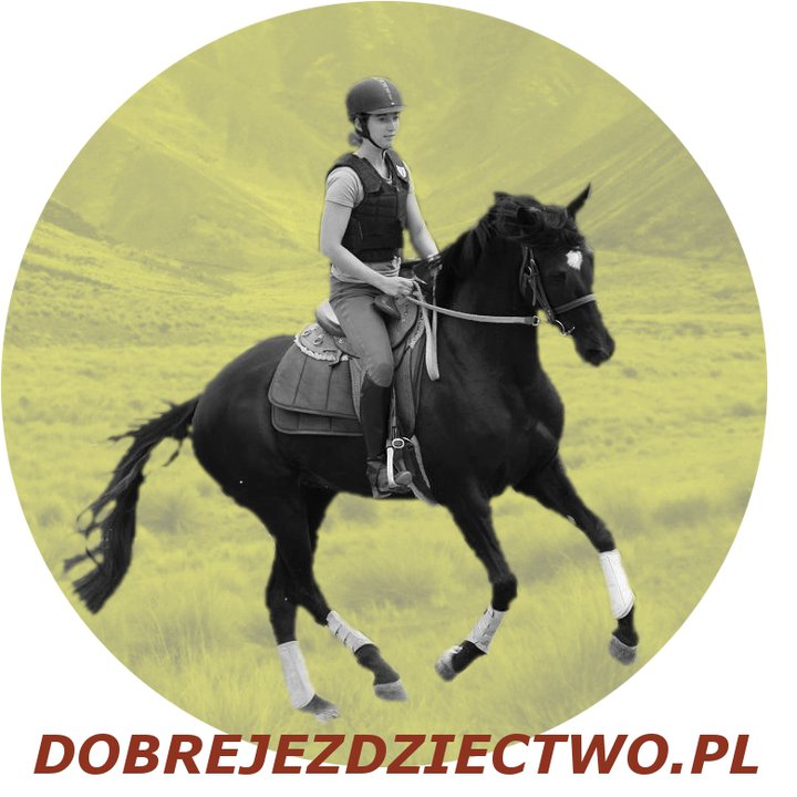 dobre jezdziectwo - blog