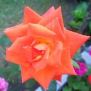 Fotografia N Ą