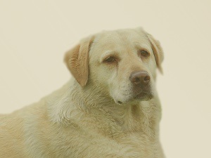 Fotografia Oliwia W