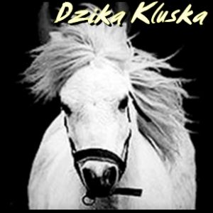 Fotografia Dzika Kluska