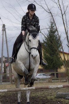 Fotografia Daria Majka