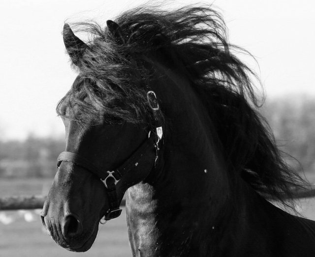 Fotografia Klaudia Lukaszczyk