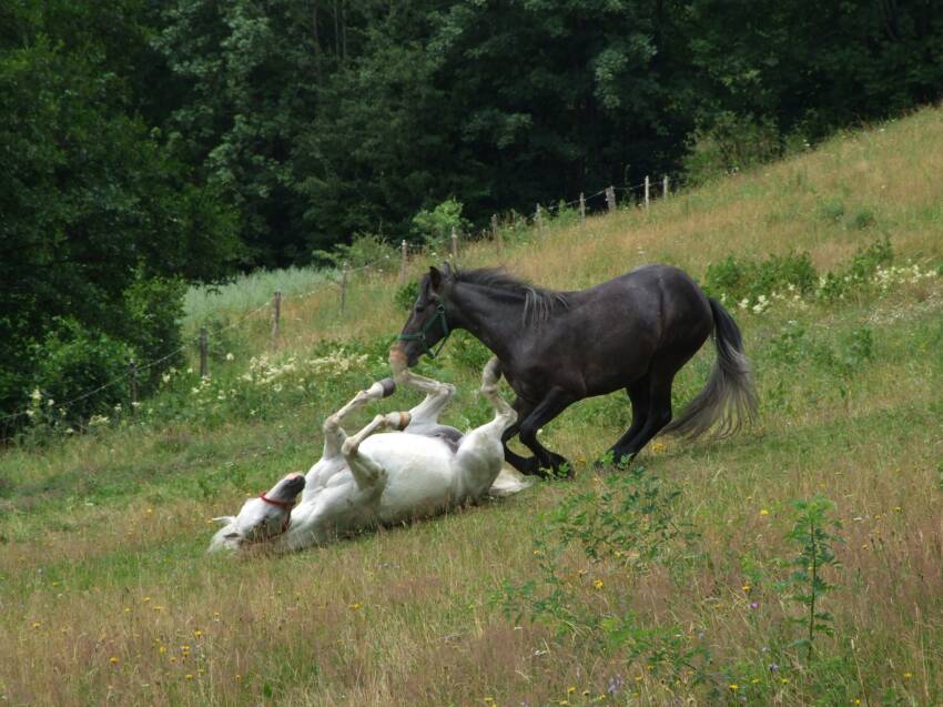 Fotografia Mirosłwa Wenda
