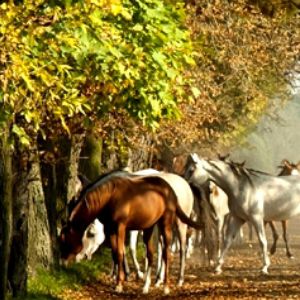 Fotografia Olga Kaczmarek