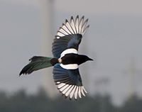 Fotografia Wojtek Srocki
