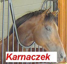 Fotografia Karnak Koński