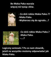 Fotografia Julka Macioszek
