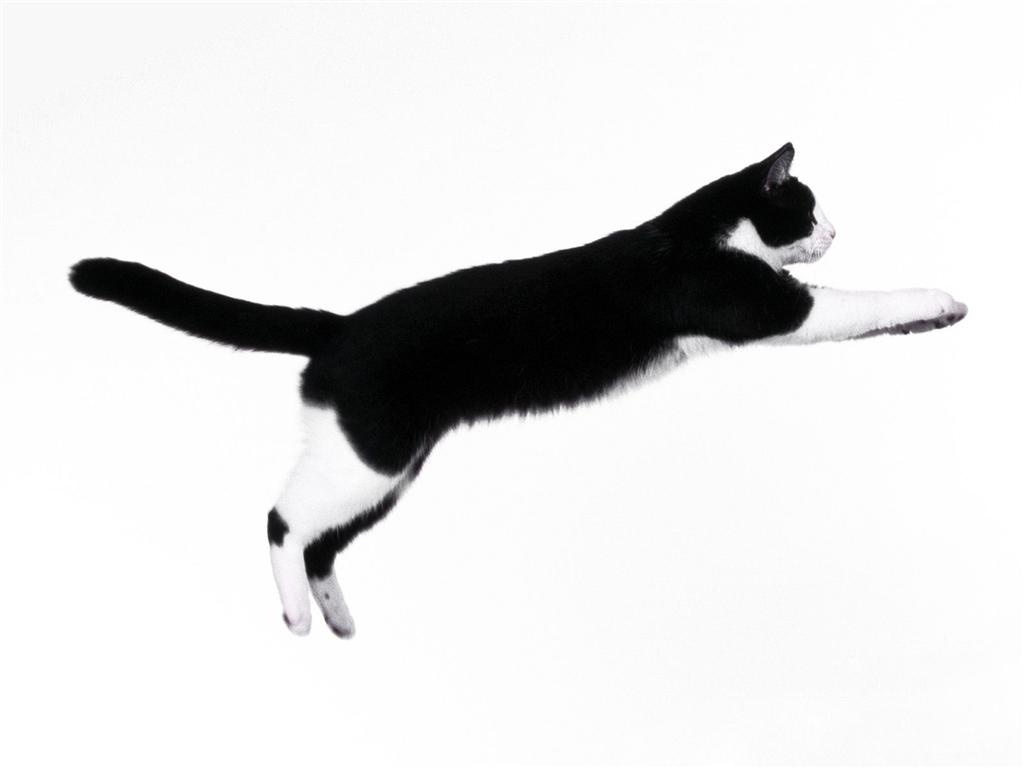 Fotografia Ola grabowska