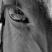 Fotografia Julita Delegacz