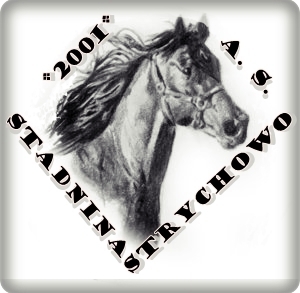 Fotografia Andrzej Sobczak