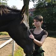 Fotografia Wilk W Krzakach