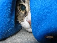 Fotografia Janina Hajdas