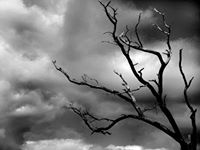Fotografia Katarzyna Modejko