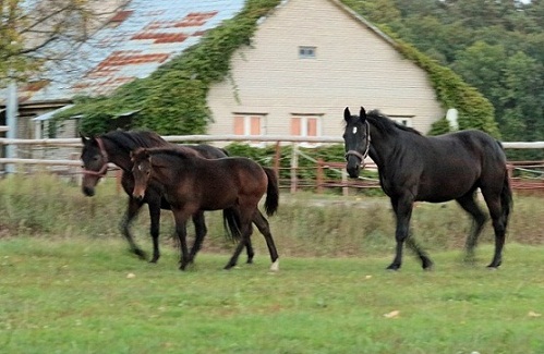 Fotografia Paweł Górecki