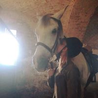 Fotografia Martyna Turek
