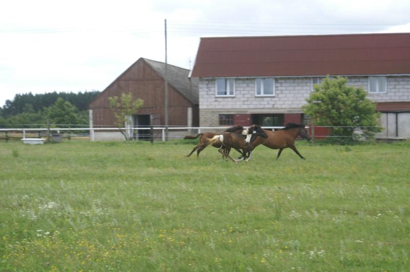 Fotografia wiesław 