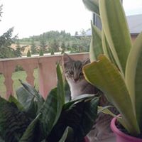 Fotografia Julka Kubiak