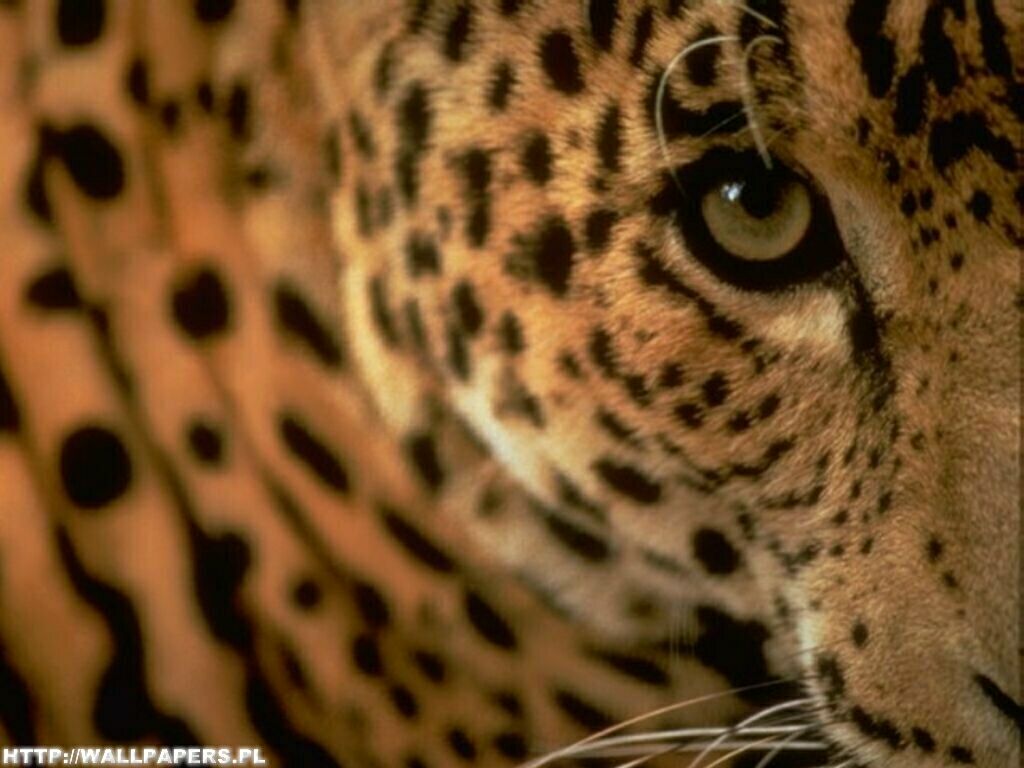 Fotografia R.M 