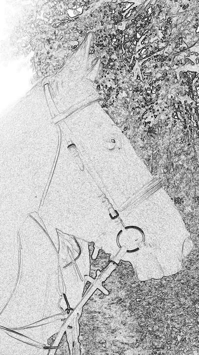 Fotografia Julia Xxx