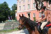 Fotografia Stadnina Koni Kurozwęki