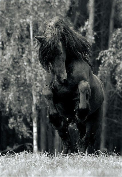 Fotografia Oliwia Rozwadowska